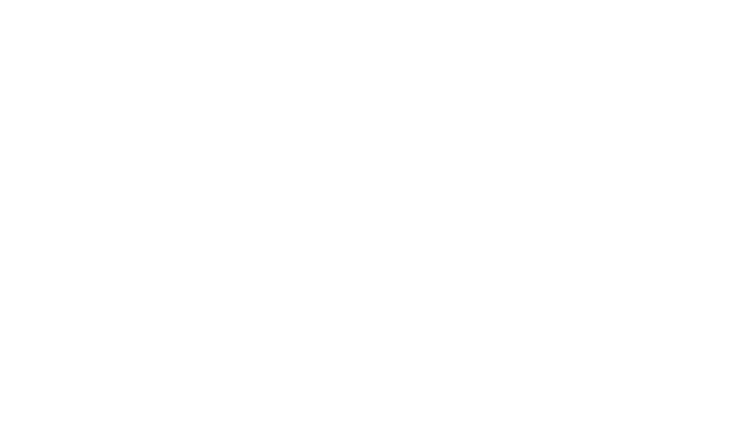 Logo NAZ
